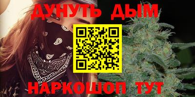 крисы Ставрополь
