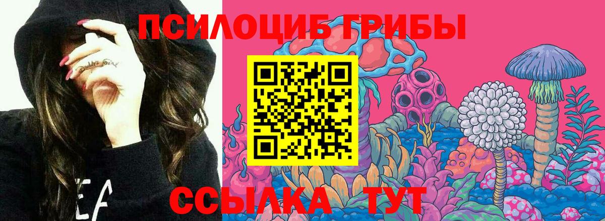 Галлюциногенные грибы GOLDEN TEACHER Богородицк
